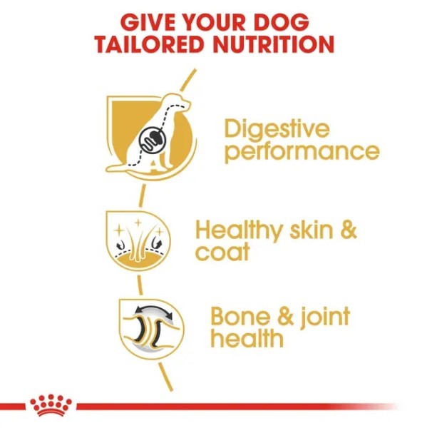 Royal Canin German Shepherd Adult - Суха храна за немски овчарски в зряла възраст